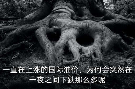 一直在上漲的國際油價，為何會突然在一夜之間下跌那么多呢