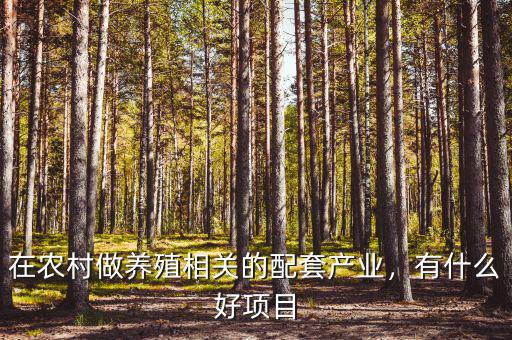 在農(nóng)村做養(yǎng)殖相關(guān)的配套產(chǎn)業(yè)，有什么好項(xiàng)目