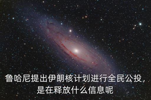 魯哈尼提出伊朗核計劃進行全民公投，是在釋放什么信息呢