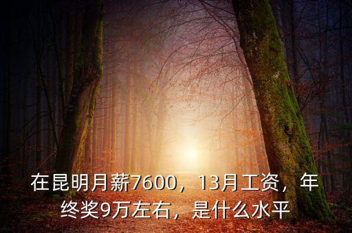 在昆明月薪7600，13月工資，年終獎(jiǎng)9萬左右，是什么水平