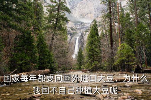 國家每年都要向國外進(jìn)口大豆，為什么我國不自己種植大豆呢