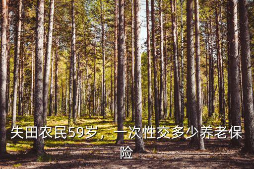 失田農民59歲，一次性交多少養(yǎng)老保險