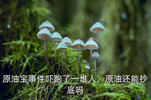 原油寶事件嚇跑了一堆人，原油還能抄底嗎
