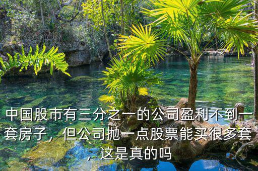 中國股市有三分之一的公司盈利不到一套房子，但公司拋一點股票能買很多套，這是真的嗎