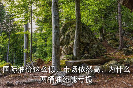 國際油價(jià)這么低，市場依然高，為什么兩桶油還能虧損