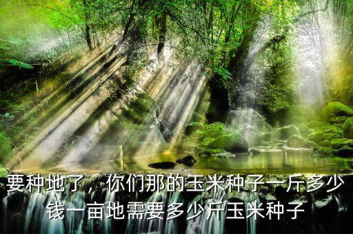 要種地了，你們那的玉米種子一斤多少錢一畝地需要多少斤玉米種子