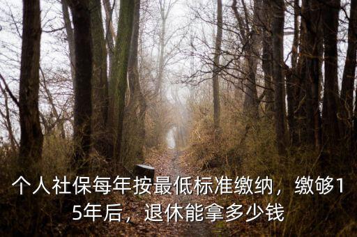 個(gè)人社保每年按最低標(biāo)準(zhǔn)繳納，繳夠15年后，退休能拿多少錢(qián)