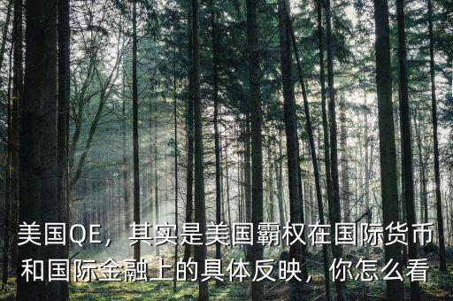 美國(guó)QE，其實(shí)是美國(guó)霸權(quán)在國(guó)際貨幣和國(guó)際金融上的具體反映，你怎么看
