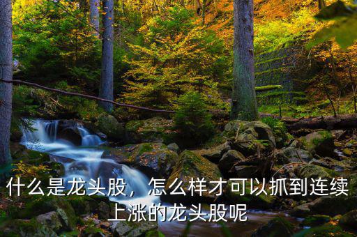 什么是龍頭股，怎么樣才可以抓到連續(xù)上漲的龍頭股呢