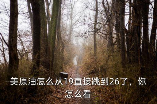美原油怎么從19直接跳到26了，你怎么看