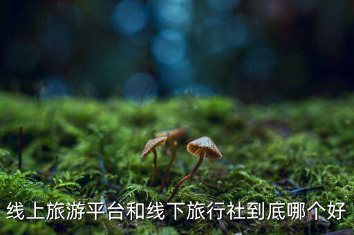 什么是線(xiàn)下旅游,線(xiàn)上旅游有意思嗎