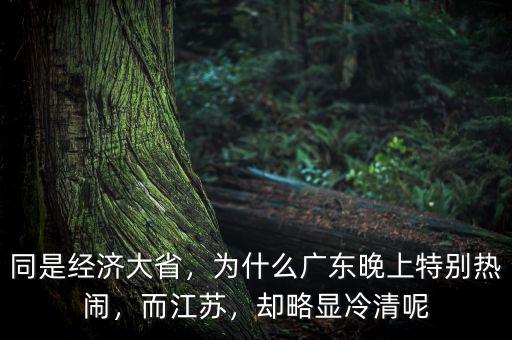 同是經(jīng)濟(jì)大省，為什么廣東晚上特別熱鬧，而江蘇，卻略顯冷清呢