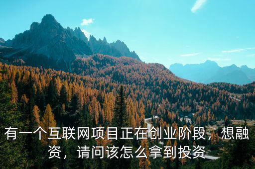 有一個(gè)互聯(lián)網(wǎng)項(xiàng)目正在創(chuàng)業(yè)階段，想融資，請(qǐng)問(wèn)該怎么拿到投資