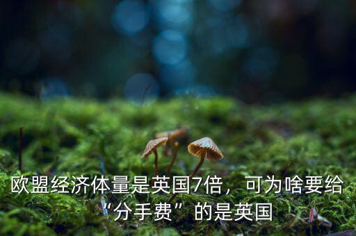 歐盟經(jīng)濟(jì)體量是英國7倍，可為啥要給“分手費(fèi)”的是英國