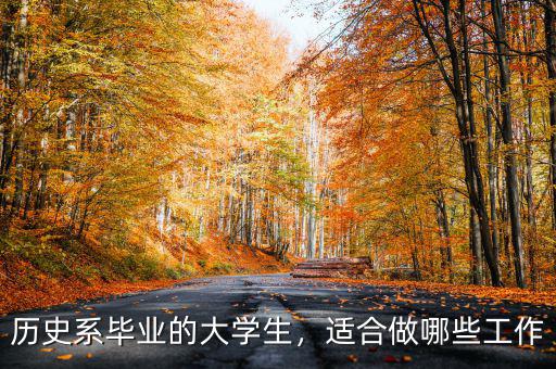 歷史系畢業(yè)的大學(xué)生，適合做哪些工作