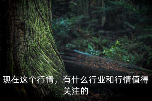 現(xiàn)在這個行情，有什么行業(yè)和行情值得關注的