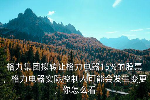 格力集團擬轉(zhuǎn)讓格力電器15%的股票，格力電器實際控制人可能會發(fā)生變更，你怎么看