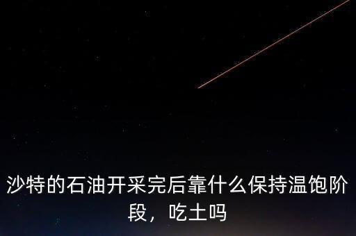 沙特的石油開采完后靠什么保持溫飽階段，吃土嗎