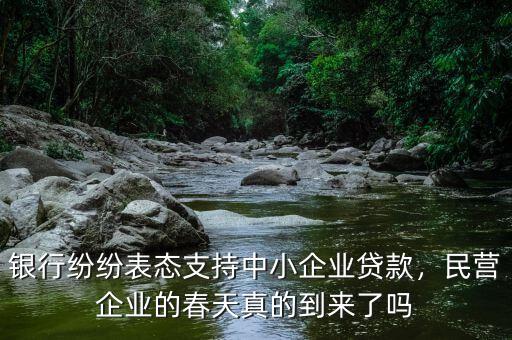 銀行紛紛表態(tài)支持中小企業(yè)貸款，民營(yíng)企業(yè)的春天真的到來了嗎