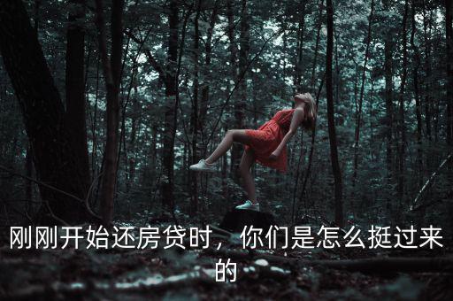 剛剛開始還房貸時，你們是怎么挺過來的