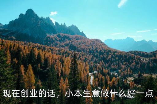 現(xiàn)在創(chuàng)業(yè)的話，小本生意做什么好一點