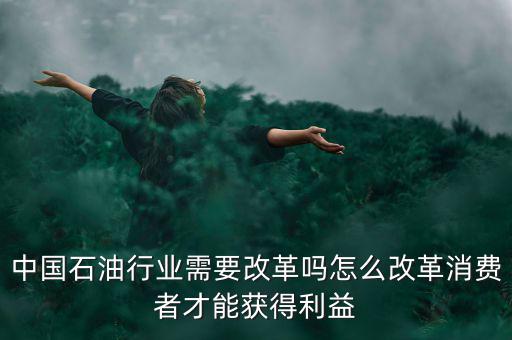 中國石油行業(yè)需要改革嗎怎么改革消費(fèi)者才能獲得利益