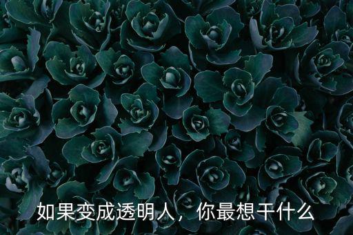 如果變成透明人，你最想干什么