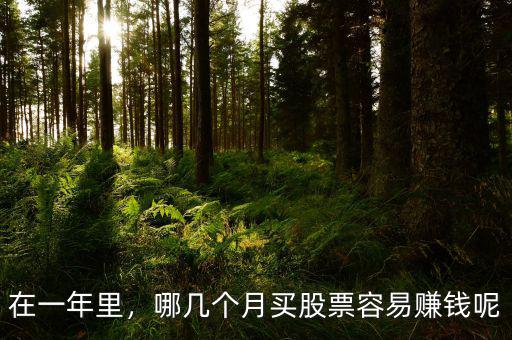 在一年里，哪幾個(gè)月買股票容易賺錢呢