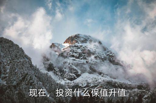 現(xiàn)在，投資什么保值升值