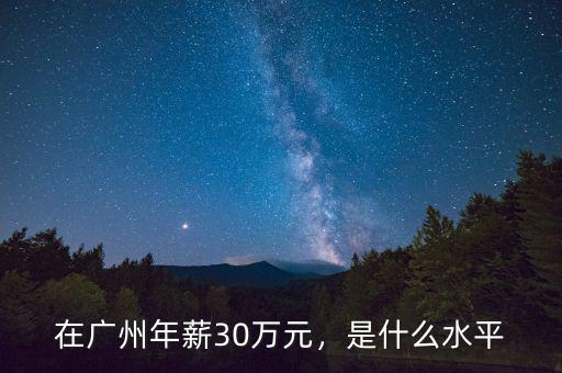 在廣州年薪30萬元，是什么水平