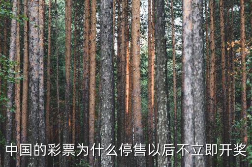 什么彩票沒有停售,彩票每天晚8點(diǎn)停售