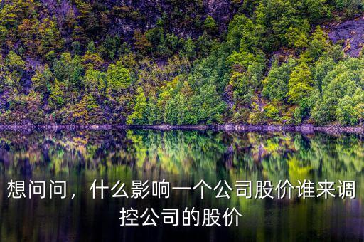 想問(wèn)問(wèn)，什么影響一個(gè)公司股價(jià)誰(shuí)來(lái)調(diào)控公司的股價(jià)