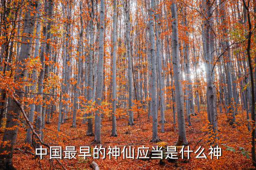 中國最早的神仙應當是什么神