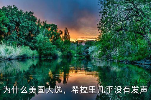 為什么美國(guó)大選，希拉里幾乎沒(méi)有發(fā)聲