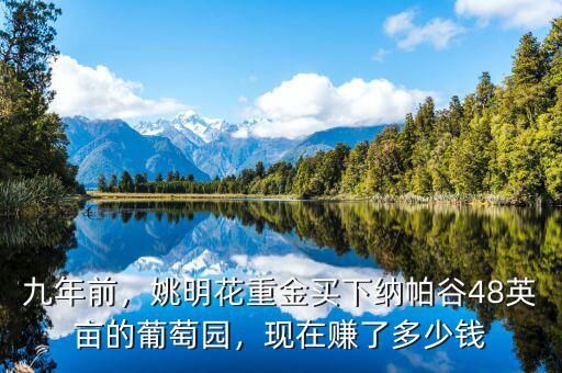 九年前，姚明花重金買下納帕谷48英畝的葡萄園，現(xiàn)在賺了多少錢
