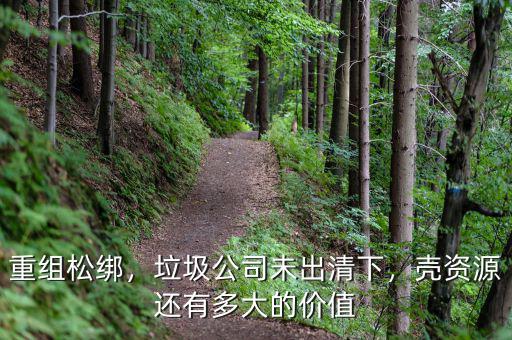 重組松綁，垃圾公司未出清下，殼資源還有多大的價值