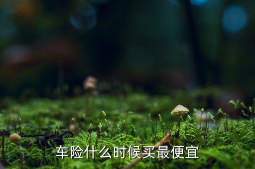 車(chē)險(xiǎn)什么時(shí)候買(mǎi)最便宜
