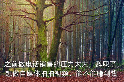 之前做電話銷售的壓力太大，辭職了，想做自媒體拍拍視頻，能不能賺到錢