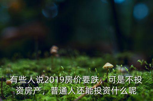 有些人說(shuō)2019房?jī)r(jià)要跌，可是不投資房產(chǎn)，普通人還能投資什么呢
