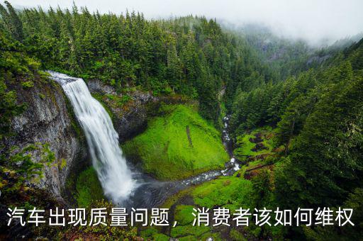 汽車出現(xiàn)質量問題，消費者該如何維權