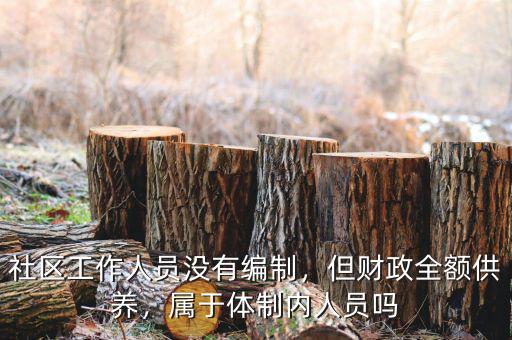 社區(qū)工作人員沒有編制，但財(cái)政全額供養(yǎng)，屬于體制內(nèi)人員嗎