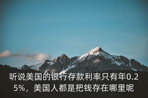聽(tīng)說(shuō)美國(guó)的銀行存款利率只有年0.25%，美國(guó)人都是把錢(qián)存在哪里呢