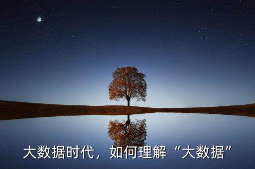 大數(shù)據時代，如何理解“大數(shù)據”