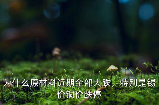 為什么原材料近期全部大跌，特別是錫價銅價跌停