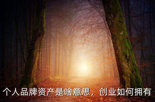 個(gè)人品牌資產(chǎn)是啥意思，創(chuàng)業(yè)如何擁有
