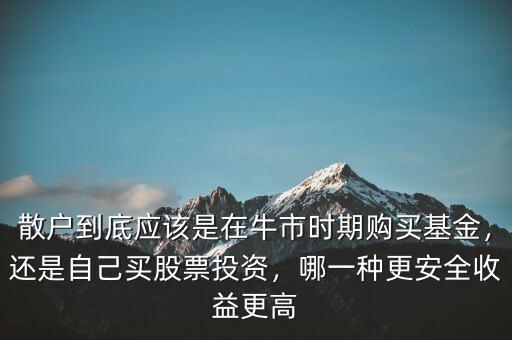 散戶到底應(yīng)該是在牛市時期購買基金，還是自己買股票投資，哪一種更安全收益更高