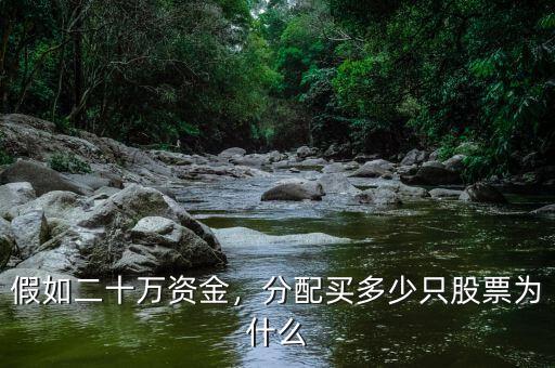 假如二十萬(wàn)資金，分配買多少只股票為什么