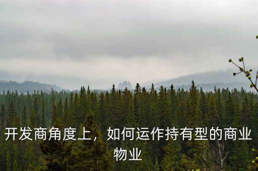 開發(fā)商角度上，如何運(yùn)作持有型的商業(yè)物業(yè)
