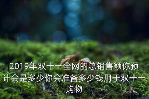 2019年雙十一全網的總銷售額你預計會是多少你會準備多少錢用于雙十一購物