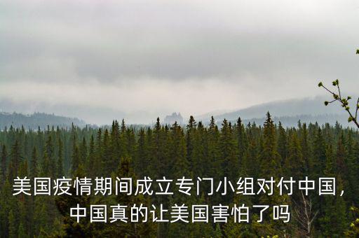 美國疫情期間成立專門小組對(duì)付中國，中國真的讓美國害怕了嗎